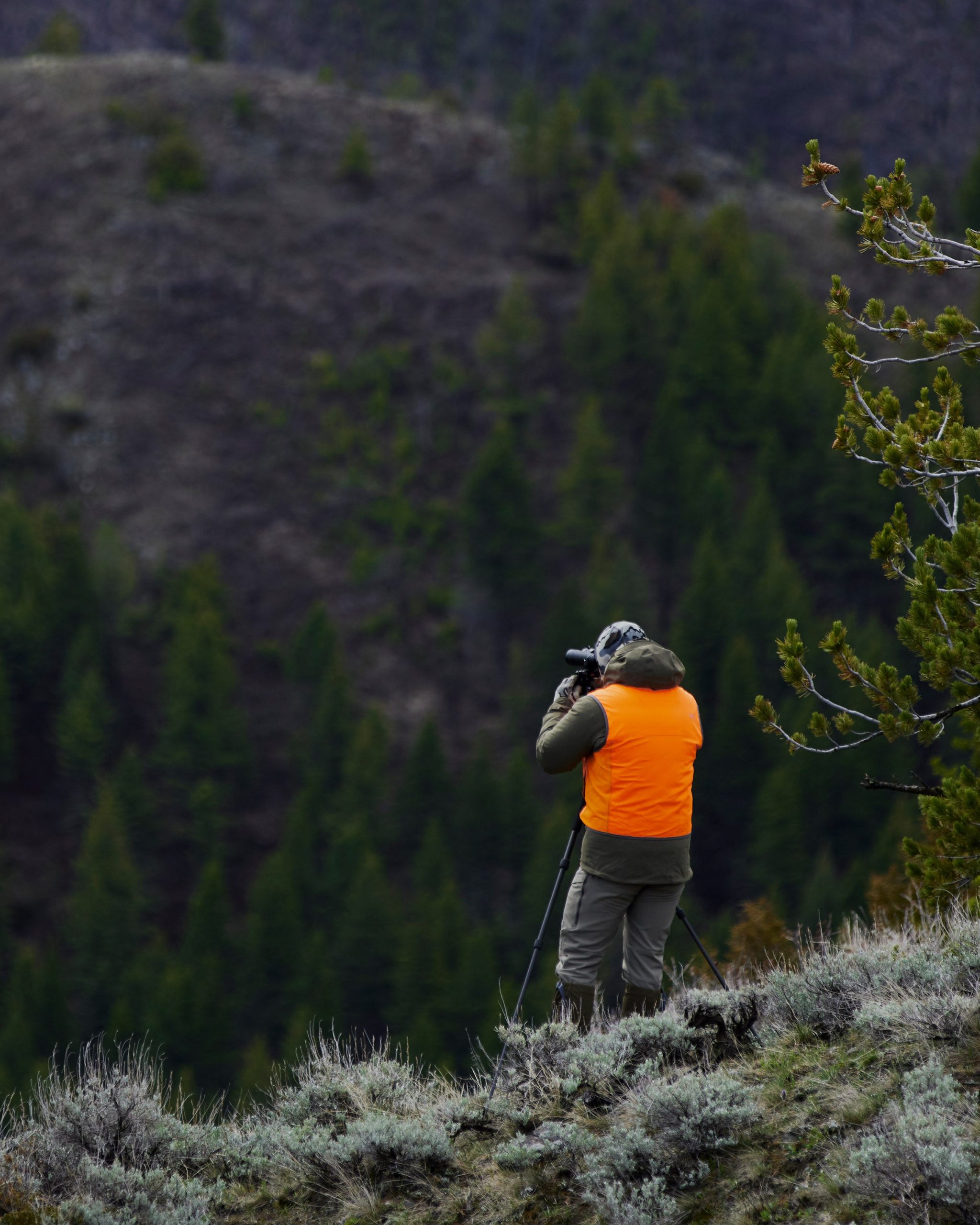 Precision Hunter Vest | Blaze Orange - Image 5