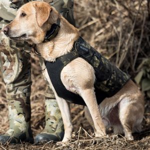 Neoprene Dog Vest | Valo